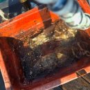 털보산장 | 이제 가을 막바지 이제는 쭈갑 배낚시가 정답인듯 오천항 발키리호 후기 [25.10.25]