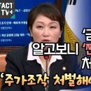 이언주, 금투세 폐지 알고보니 이미지