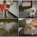 양궁장주유소 이미지