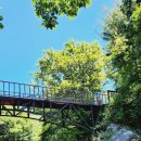 가리왕산 휴양림 | “가리왕산 자연휴양림 108번 데크 캠핑후기 – 편의시설 가까운 가족 물놀이 명소”