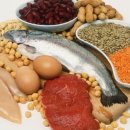 오늘의 단백질 이미지