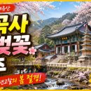 제32편. 마곡사(麻谷寺) — 봄이 가장 아름다운 태화산의 절