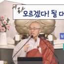 [황벽71] 🌻(에라), 모르겠다! 될 대로 되라" 될 대로 늘 되고 있음을 확 받아들여! 이미지