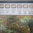 예산가마솥장수촌설렁탕 이미지