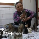 우리조류농장 이미지