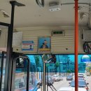 중앙시장(1207) 이미지