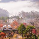 도척면 노곡리 58-4 | 100% 성공! 곤지암 화담숲 예약 필수 꿀팁 (단풍, 벚꽃 최적 시기 총정리)