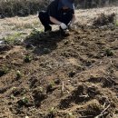 현영농장 이미지