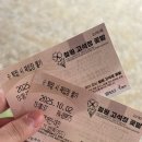 가을 여행지 추천 철원 꽃밭 고석정 꽃밭 10월 첫째주 후기