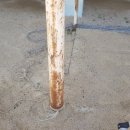 인천길주초등학교 이미지