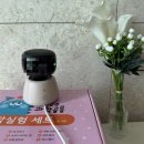 이글루 - 부천시 소사구 옥길로 55 | 이글루 홈캠 S4+ 내돈내산 후기S3+ 홈캠 비교