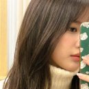 (주)프레이밍 | 경기대 미용실 추천 염색 밀크브라운 하이레이어드컷 허그컷 찐 후기