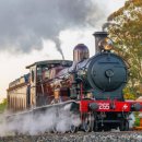 칙칙폭폭 이미지