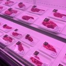 한우미담 이미지