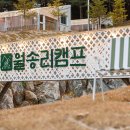월송캠프 이미지