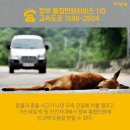 `Netizen 신비 동물의 왕국` 2019. 1. 6(일요특집) 이미지