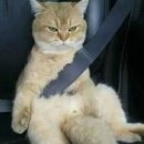 문턱없는집 이미지