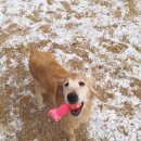 박순호의 아이슬란드 이미지