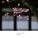 인연시 모음/혜원 전진옥 이미지