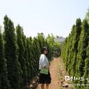 The손공방