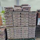 디데이산타아울렛 솔직후기! 가격보고 결국 지갑털린 후기
