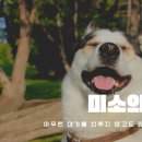 미소 Daum카페