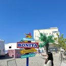 보니타펜션 | [공지] 부안 변산반도 오션뷰 펜션 글램핑 보니타카라반 로얄스위트 정보