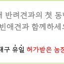 하빈애견농장 이미지