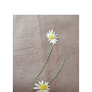 감성을 수놓는 프랑스자수 이미지