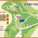 송이밸리자연휴양림 이미지