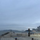 고릴라 | 부산 해운대 맥주 맛집 해운대 오션뷰 고릴라브루잉 비치점 후기