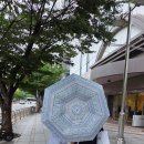 카르페디엠플라워 | 자외선차단 양산 초경량 우산겸용 카르페디엠 암막3단우산 추천