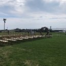 비전손세차장 이미지