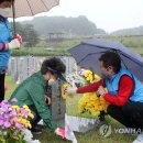 자생의료재단대전자생한방병원 이미지
