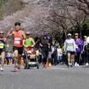 합천명품돼지 이미지