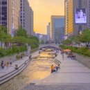 상주행정사 이미지