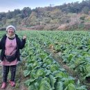 임이랑 농장 이미지