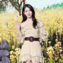 예쁨일랑 이미지