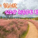 신소양체육공원 이미지