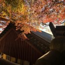 뉴산호장 이미지