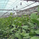 옥분농장 이미지