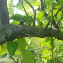 석산농장 이미지