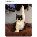 듀듀