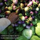 미투헤어샵 이미지