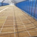 오진농장 이미지