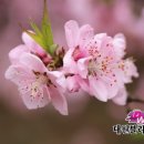 예성프라자 이미지