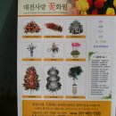 사랑꽃화원