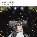 엘리제 | 본식스냅/웨딩스냅 추천 포엘리제 계약 후기 인물중심 (짝꿍할인 가능)