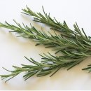 약초화한의원 이미지