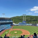 U-5 | 삼성 라이온즈 : 1루 SKY상단지정석 U-5구역 19열 직관 후기